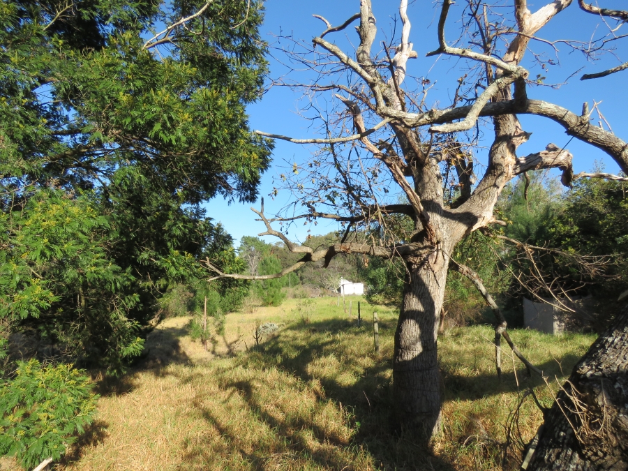 0 Bedroom Property for Sale in Keurbooms Western Cape